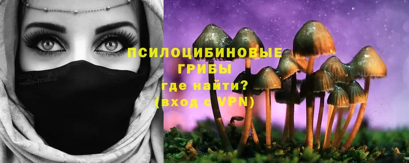 где купить наркоту  Дмитровск  Галлюциногенные грибы MAGIC MUSHROOMS 