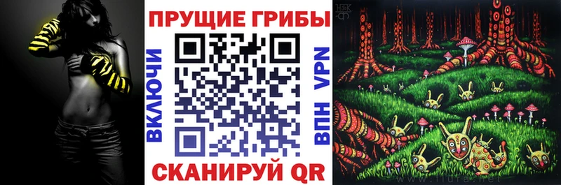 Галлюциногенные грибы Cubensis Дмитровск